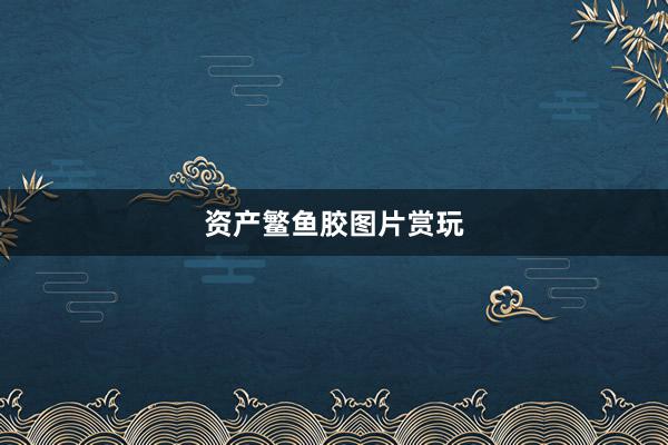 资产鳘鱼胶图片赏玩