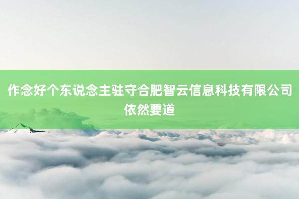 作念好个东说念主驻守合肥智云信息科技有限公司依然要道