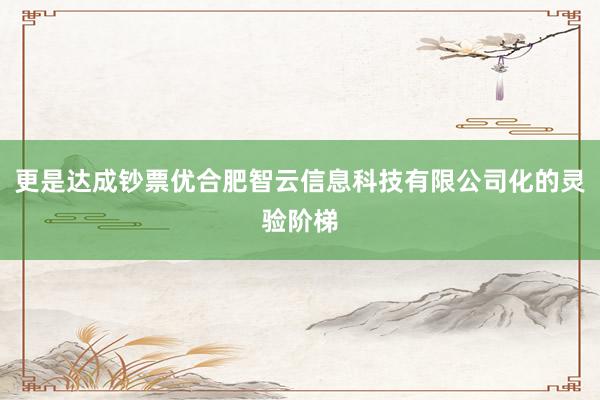 更是达成钞票优合肥智云信息科技有限公司化的灵验阶梯