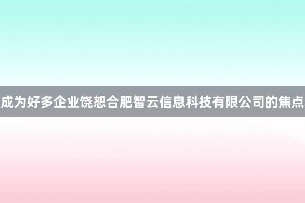 成为好多企业饶恕合肥智云信息科技有限公司的焦点