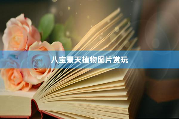 八宝景天植物图片赏玩