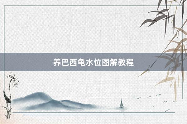 养巴西龟水位图解教程