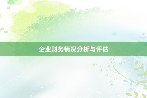 企业财务情况分析与评估