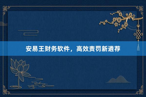 安易王财务软件，高效责罚新遴荐